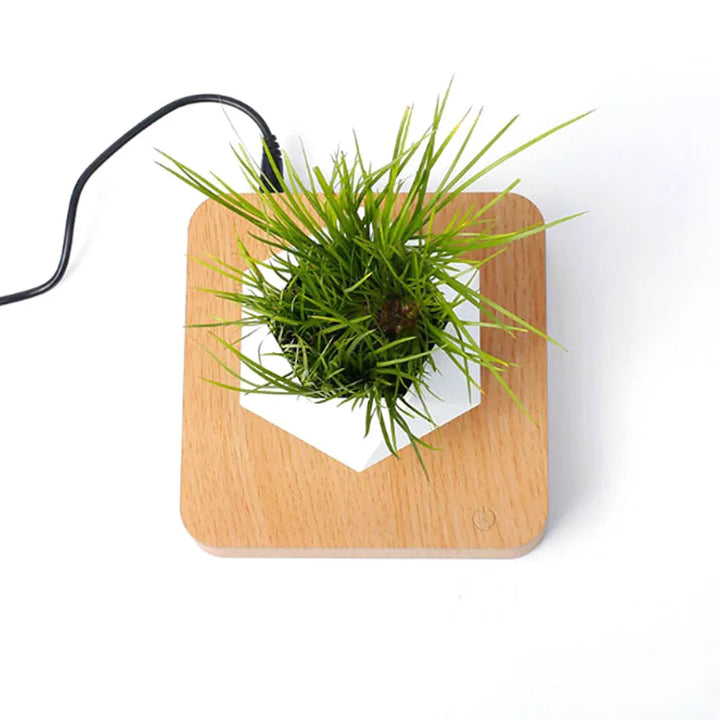 Magnetic Floating Plant Pot