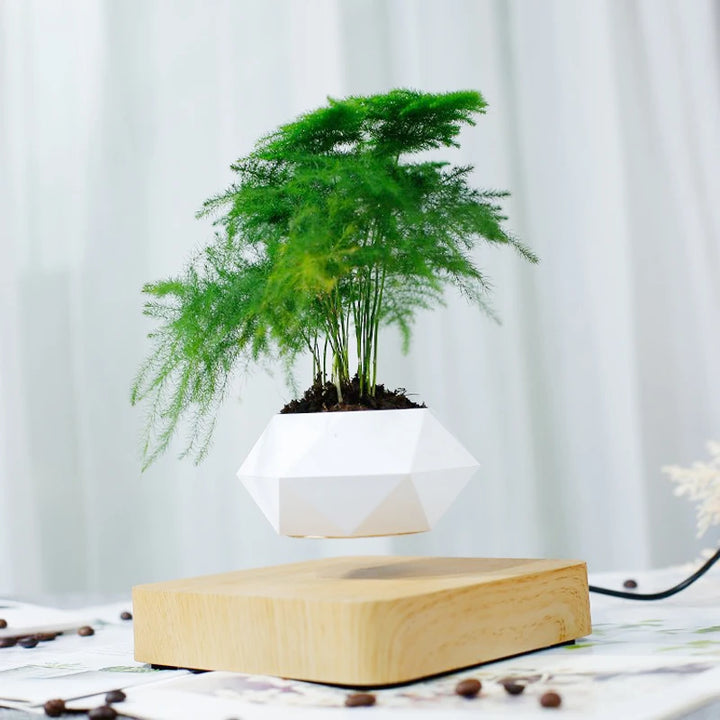 Magnetic Floating Plant Pot