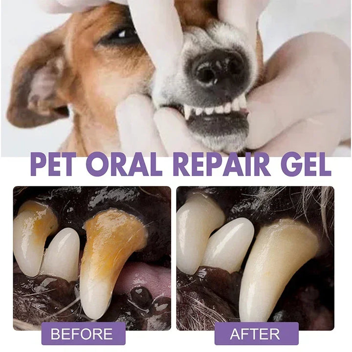 Pet oral repair gel