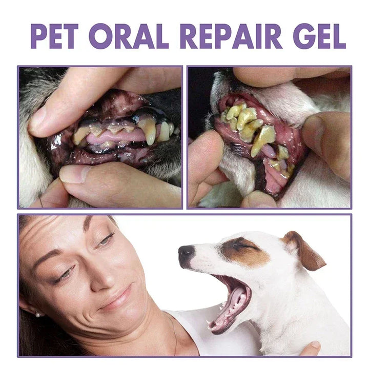 Pet oral repair gel