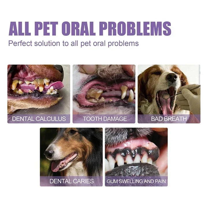 Pet oral repair gel